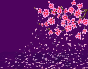 Sakura. A lush cherry branch with flowers loses petals in the rain. Water drops. Isolated ultra violet background. illustration