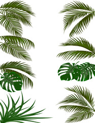 Fototapeta premium Set green leaves of tropical palm trees. Monstera, agave. Isolated on white background. illustration