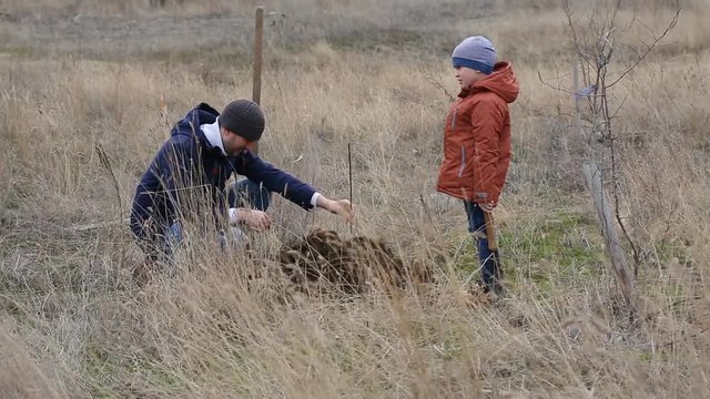 boy and his farther digs  hole for planting a tree sprout in spring 