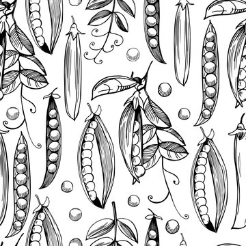 Hand drawn seamless pattern with pea.