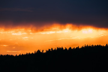 Rain Cloud Above Dark Black Silhouettes Of Forest Trees Woods During