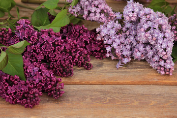 Branches of a blossoming lilac on a wooden background