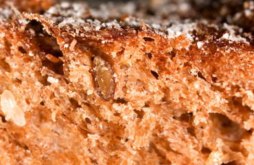 Bread with seeds and raisins as a background