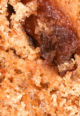 Bread with seeds and raisins as a background