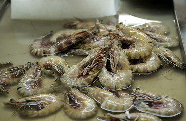 The shrimp used to Cook several delicious and there are benefits to the body  