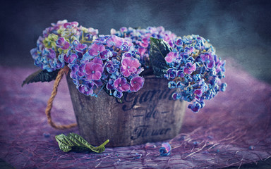 Beautiful purple hydrangea flowers close-up in a vase . The image was specially created by using a...