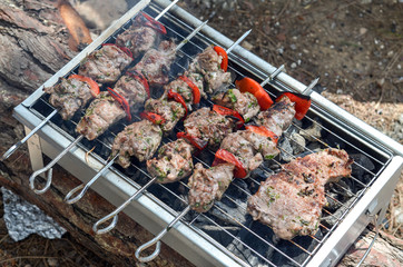 Tasty skewers and steack on grill with vegetables