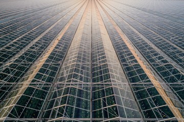 Aerial view on large modern glass houses