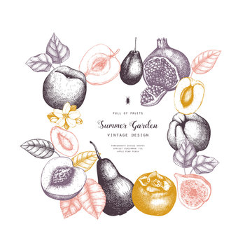 Vintage fruits and berries - apple, pear,  peach, apricot, quince, cherry card design. Vector summer or autumn template. Hand drawn harvest illustration. Wedding decoration.