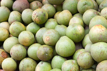The Green Grapefruits