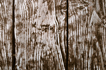 old wooden door texture