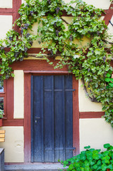 Fototapeta na wymiar The wall of an old half-timbered house with a ivy-covered door and a vine with grapes.