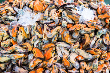 Chilled shellfish in the market.