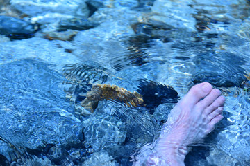 foot into the meltwater