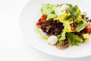 a beautiful restaurant dish