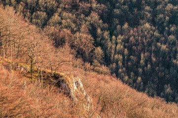Felsen am Rande der Schwäbischen Alb