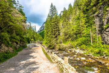 Fototapeta na wymiar Hiking trail along mountain river and pine forest, spring landsc