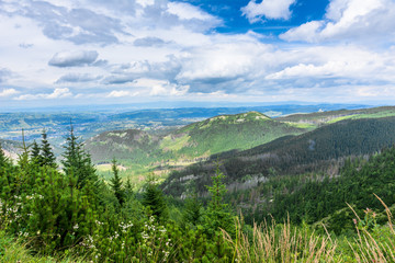 Panorama of city in mountains, spring landscape with blue sky and pine forest