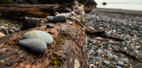 Rocks Lined up on a Log