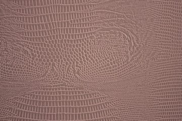 Texture of snake skin.