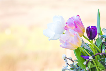 Tulips flowers arrangement
