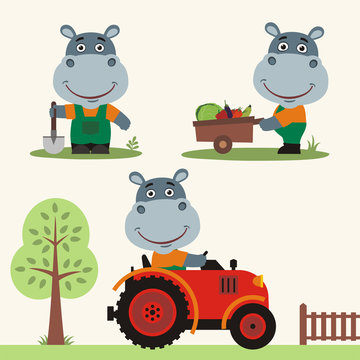 Set of funny hippo farmer with shovel, with wheelbarrow with vegetables, in farm tractor. Collection of hippo is working on the farm.