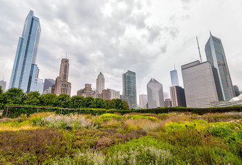 Fototapeta premium View of Chicago cityscape with skyscrapers from Millenium Park in a cloudy day, Illinois, USA