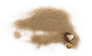 Sea shells in sand pile isolated on white background, top view