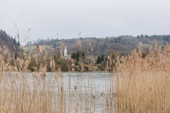 M&ouml;hlin, Rhein, Rheinufer, Hochrhein, Uferweg, Auenlandschaft, Fluss, Schilf, Wasserpflanzen, Wanderweg, Wald, Waldweg, Aargau, Fricktal, Fr&uuml;hling, Schweiz
