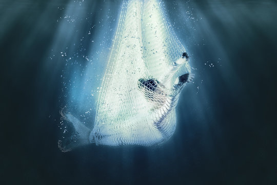 Mermaid in fishing nets. Underwater