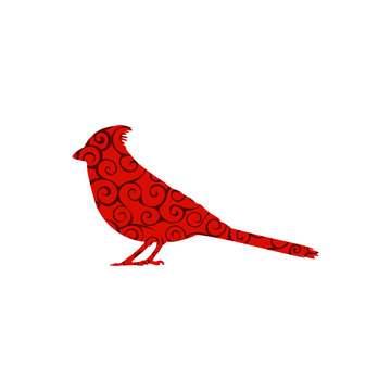 Cardinal bird spiral pattern color silhouette animal. 