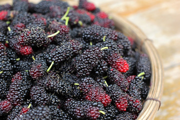 mulberry fruit in wicker basket