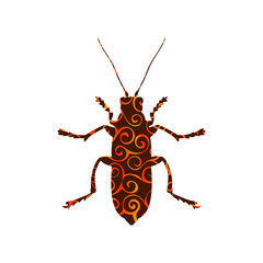 Beetle insect spiral pattern color silhouette animal.