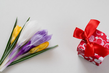 Kwiaty i prezent w pudełku na szarym tle