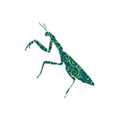 Praying mantis insect spiral pattern color silhouette animal