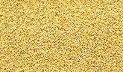 Polished millet -texture and details - traditional food
