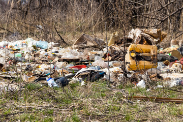 Garbage dump in forest under trees