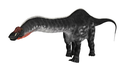 3D Rendering Dinosaur Apatosaurus on White