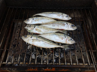 Grilled mackerel fish over the coals on a barbecue.