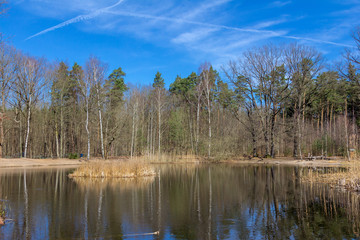 Fototapeta premium Waldsee