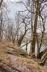 Rheinfelden, Rhein, Rheinufer, Hochrhein, Uferweg, Rheinuferweg, M&ouml;hlin, Wanderweg, Wald, Waldweg, Aargau, Fricktal, Fr&uuml;hling, Schweiz