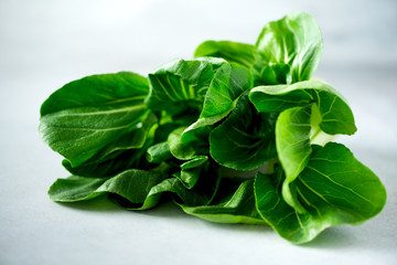 Green organic bok choy chinese cabbage on grey concrete background. Copy space, top view, flat lay