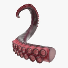 Octopus Tentacle on white. 3D illustration - 200242787