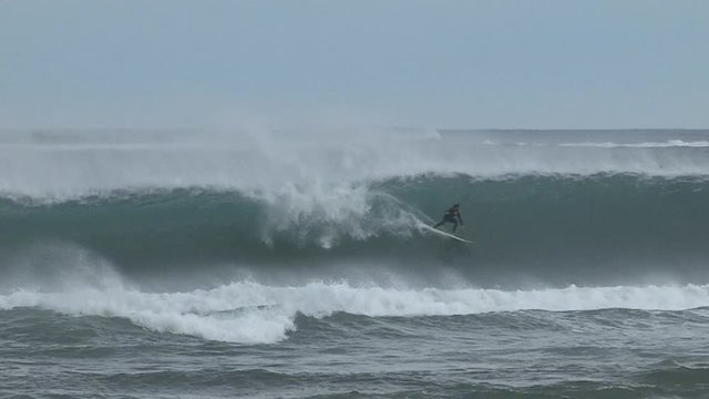 Surfing Worldwide Action Sport