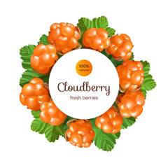 Banner with Cloudberry on white background. Design with place for text.