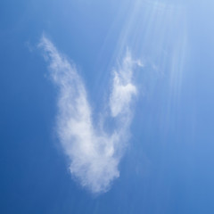 Fototapeta na wymiar A heart cloud on blue sky. Beauty natural background