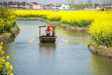 rape flower water town in Jiangsu, China
