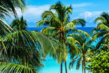 Fototapeta premium Weißer Sand und Türkises Wasser am Karibik Strand auf Kuba Varadero
