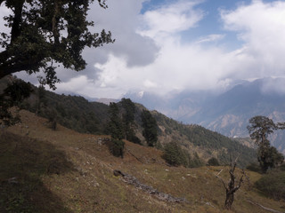 Landschaft auf einer Wanderung durch das Himalaya Gebiet von Uttarakhand in Indien
