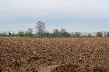 terreno agricolo